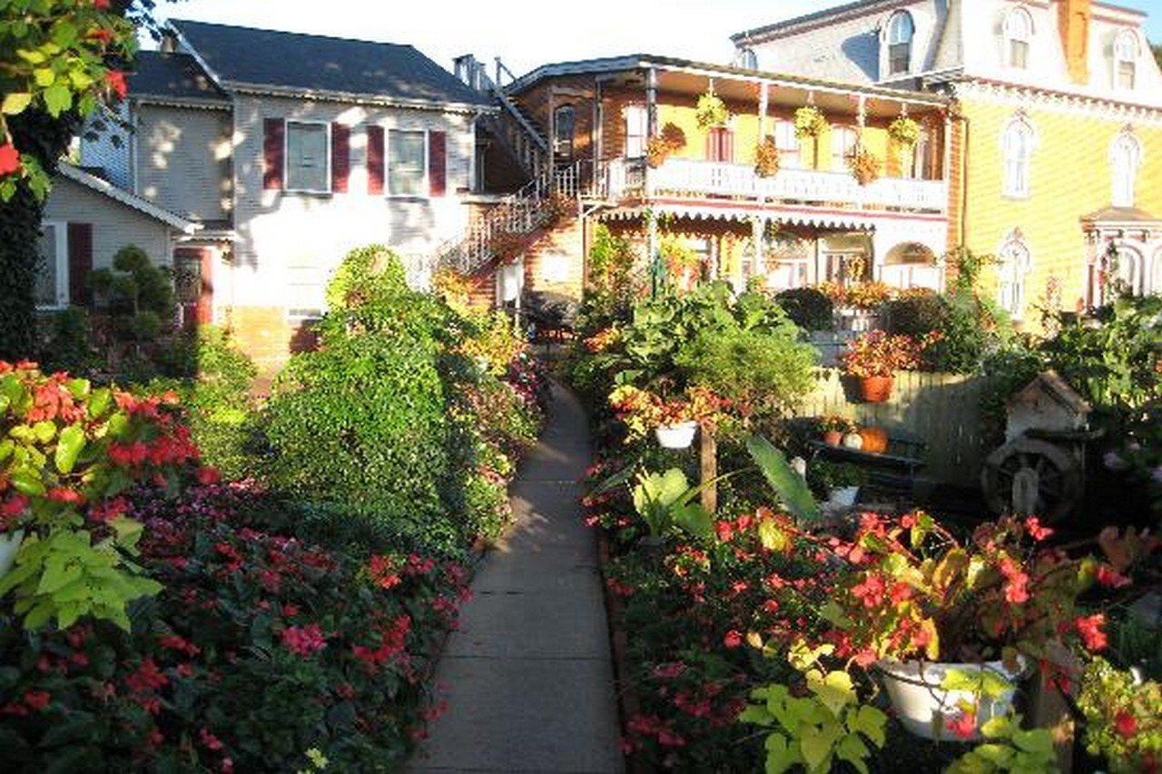 Greystone Manor Bed & Breakfast Bird-in-Hand Exterior foto